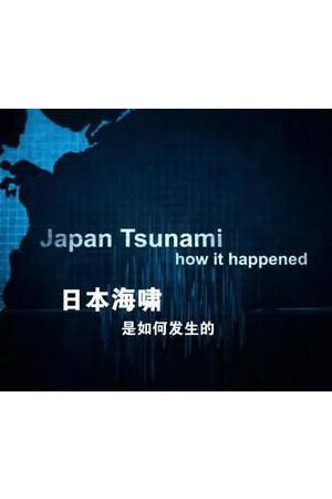 《日本海啸是如何发生的》迅雷磁力下载