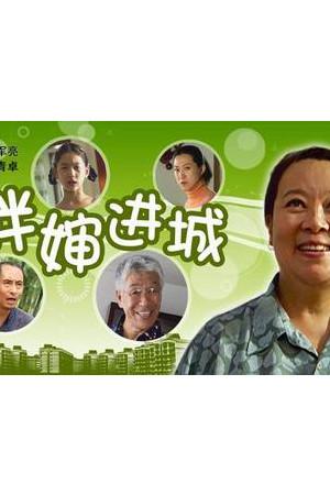 《胖婶进城》封面图