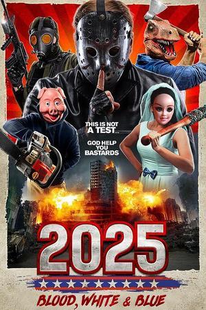 《2025: Blood, White & Blue》封面图