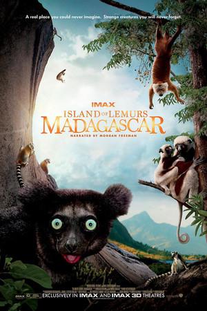 《马达加斯加：狐猴之岛》迅雷磁力下载