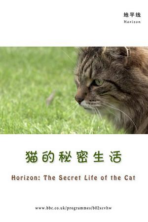 《猫的秘密生活》封面图