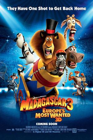 《马达加斯加3》迅雷磁力下载