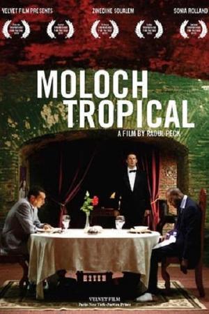 《moloch tropical》封面图