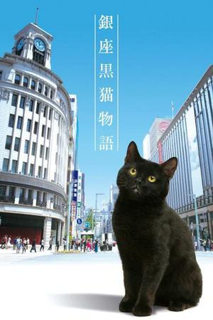 《银座黑猫物语》迅雷磁力下载