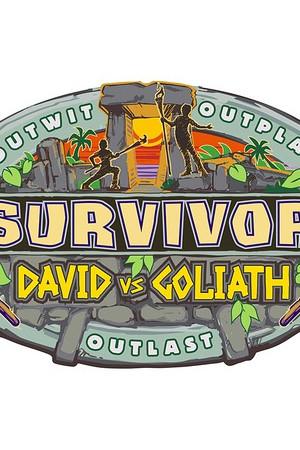 《幸存者：大卫战歌利亚 第三十七季》迅雷磁力下载