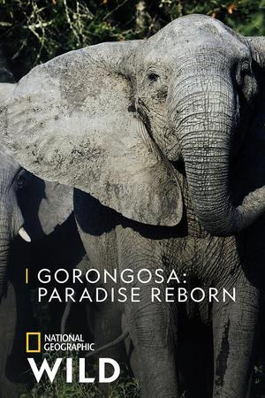 《Gorongosa: Paradise Reborn》迅雷磁力下载