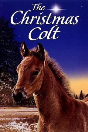 《The Christmas Colt》迅雷磁力下载