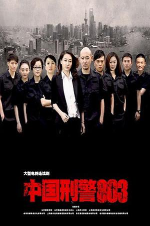 《中国刑警803》封面图