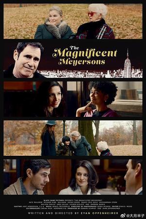 《The Magnificent Meyersons》封面图