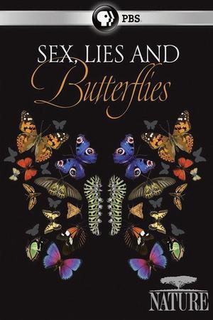 《Sex, Lies and Butterflies》迅雷磁力下载