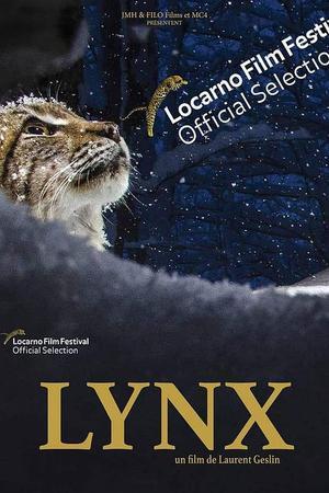 《Lynx》封面图